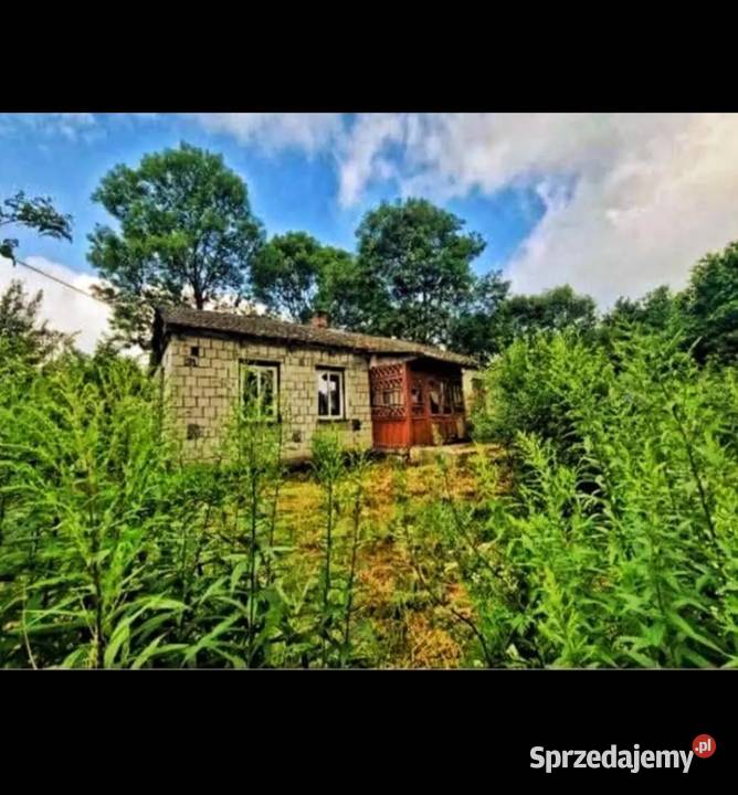 Sprzedam siedlisko w cichej okolicy Sprzedaż Chełm sprzedam