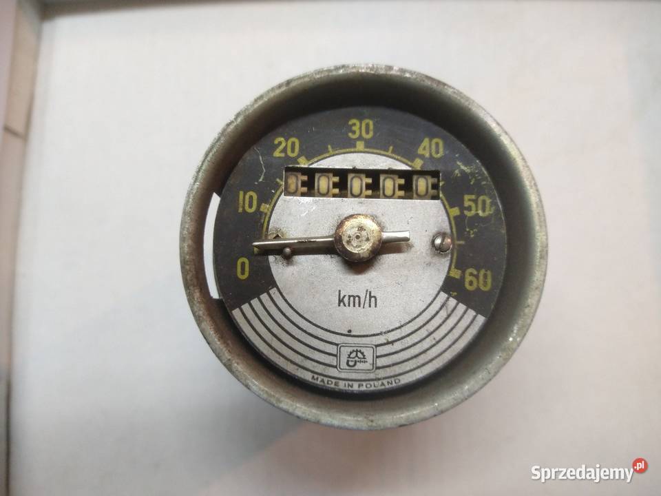 Komar sztywniak licznik Ostrowiec Świętokrzyski