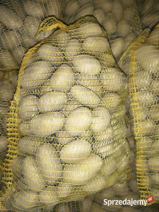 Sprzedam ziemniaki jadalne Sułoszowa