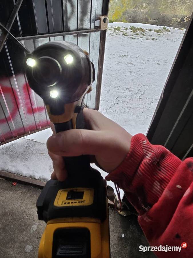 Dewalt zakrętarka Dom i Ogród Krzewina