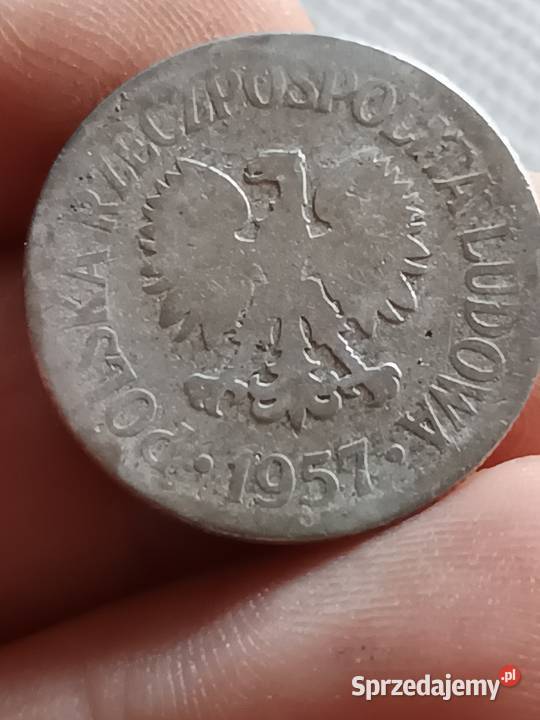 Sprzedam monete 50 groszy 1957 zniszczona Chełm sprzedam