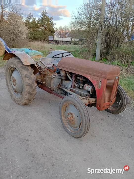 Sprzedam Fergusona TEA 20 wielkopolskie Gniezno