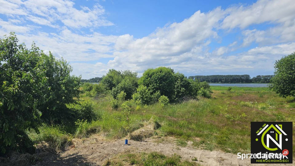 Działka 9800m2 Laska Sprzedaż