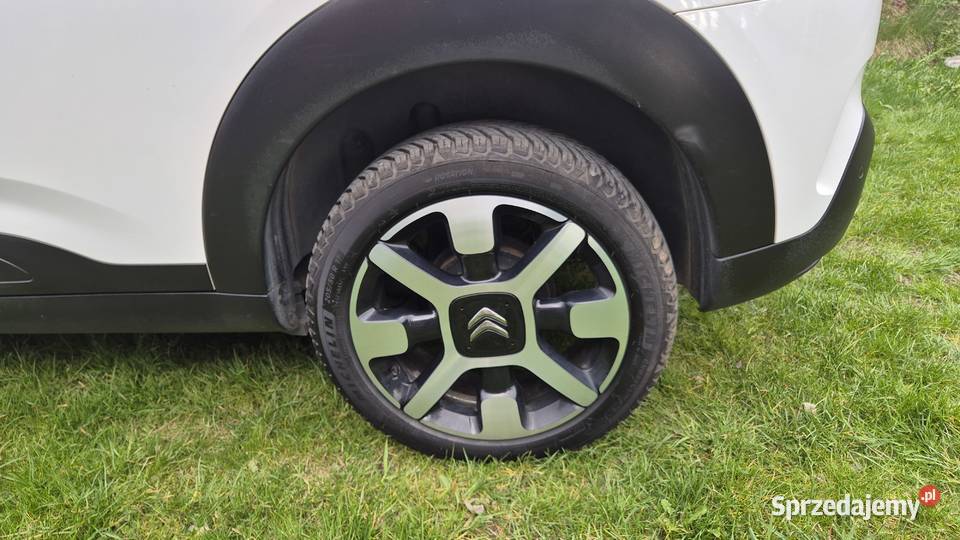 C4 CACTUS 12 110 OPŁACONY system Start-Stop