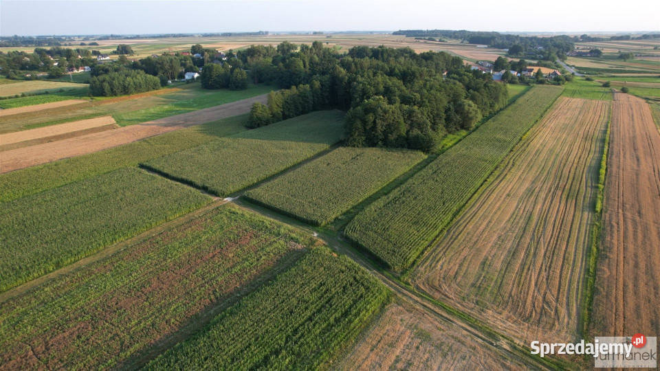 Działka 14235m2 Zawadka