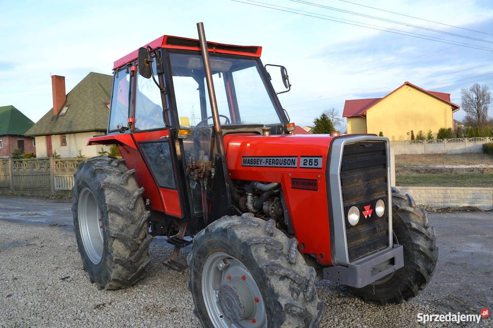 Massey Ferguson 265 ursus 3514 zetor john raty Brzeziny