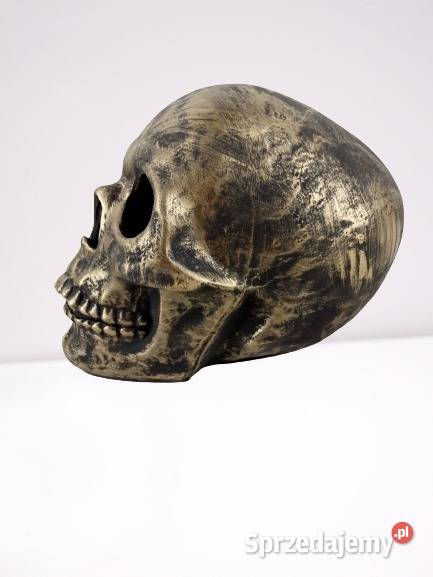 Figura Dekoracja Czaszka Julianów Raducki