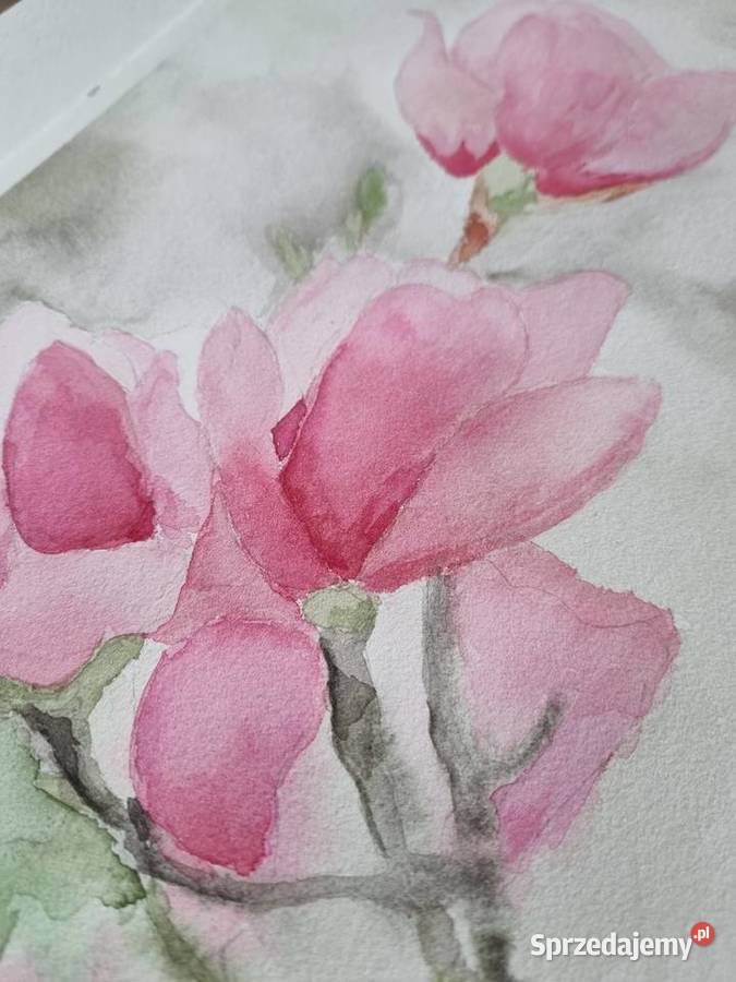 Magnolie oryginalna akwarela łódzkie Łódź