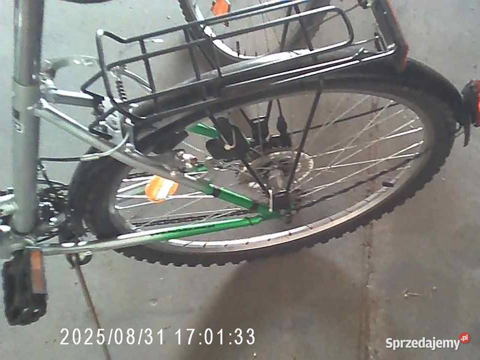 rower damka Złotniki Kujawskie
