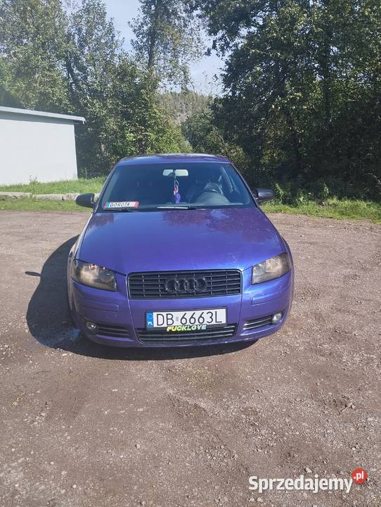 Audi a3 8p 19 TDI 6 biegowa 2005 Wałbrzych