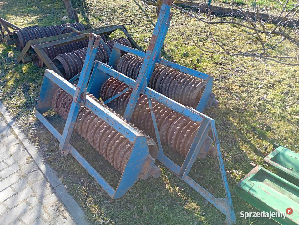 Wały posiewne dalbo Cambridge wysokie 38 kujawsko-pomorskie Sośno