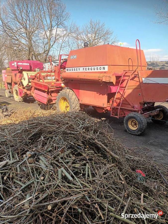 Massey ferguson 206 sprowadzony Massey Ferguson Zbożowe Tomaszów Lubelski