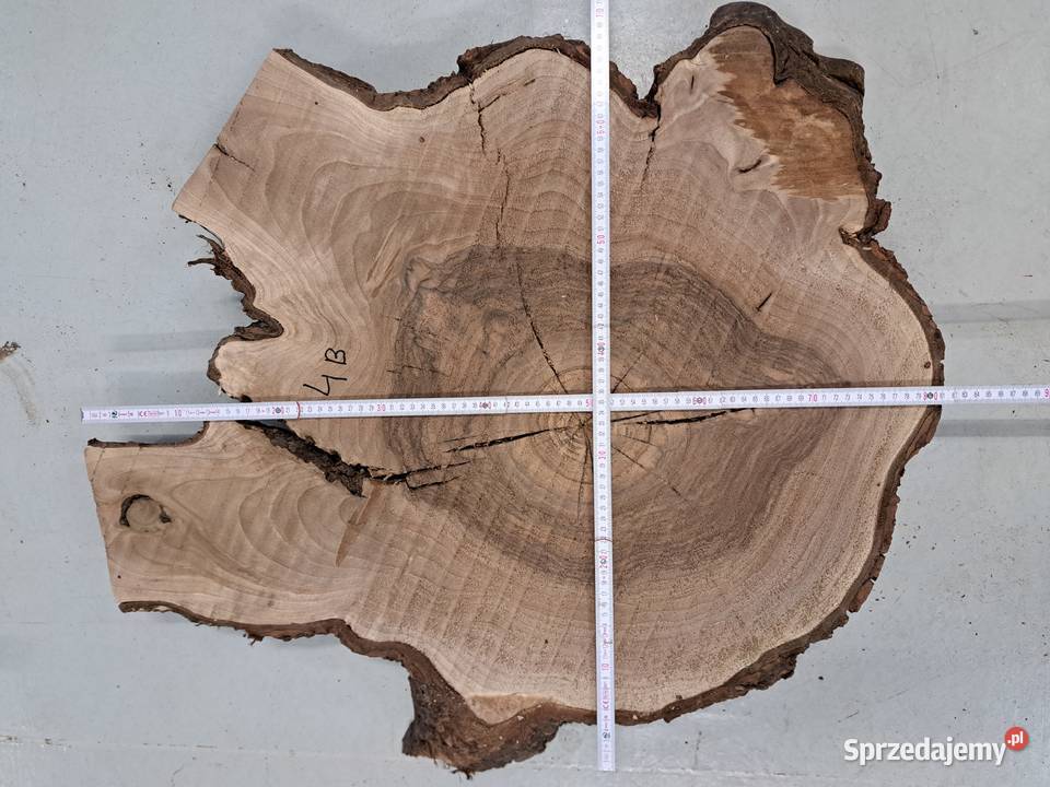 Plastry Orzech Korzeń suche Pozostałe Kalinówka