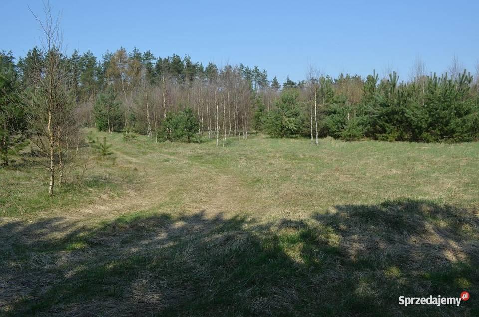 działki rekreacyjne pomorskie Kościerzyna