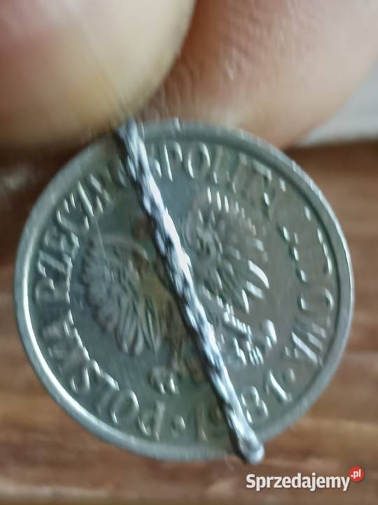 Sprzedam 10 gr 1981 r skretka Chełm sprzedam