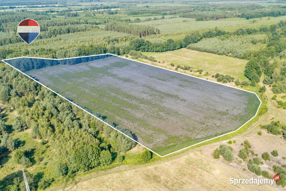 Działka rolna 521 ha w Jarogniewicach polna Zielona Góra