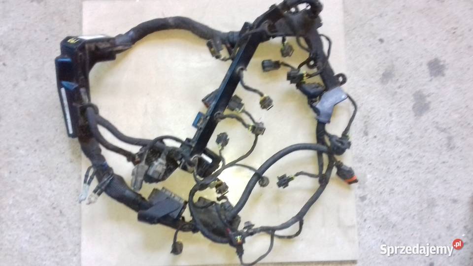 Wiązka silnika 914202L072 kia ceed 16 crdi 0612 Układ elektryczny