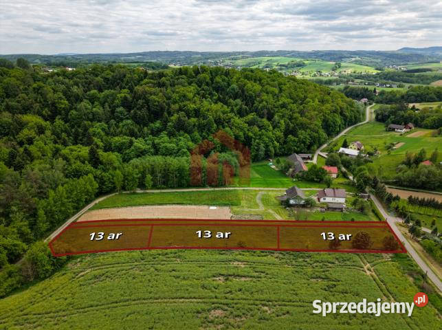 sprzedaży działki Wielopole Skrzyńskie 1300m2 Sprzedaż
