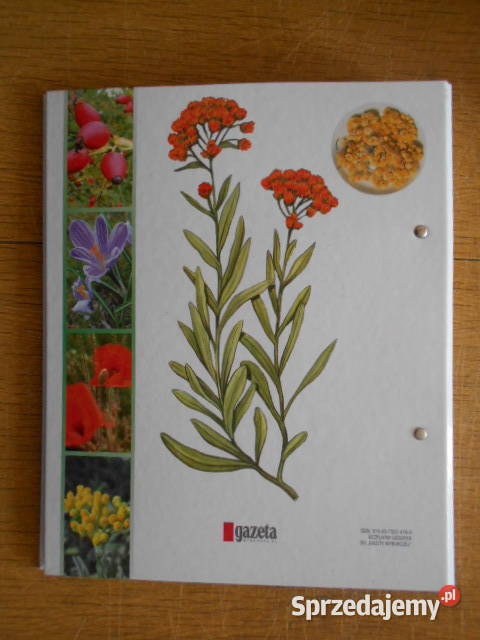 Zioła zdrowia i urody A do Z Gazeta Wyborcza zdrowie, pierwsza pomoc Parczew