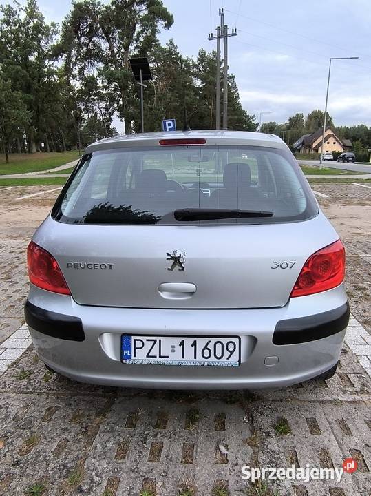 Peugeot 307 Lift Klima 16 2007 Benzyna 5 drzwi w Złotów