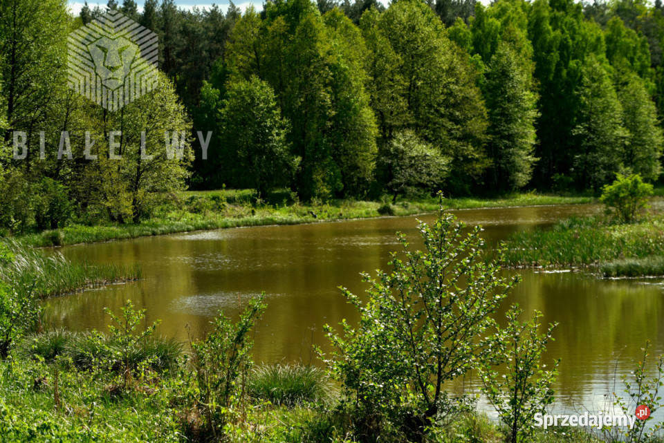 sprzedaży działki Nowe Borsuki 1200m2