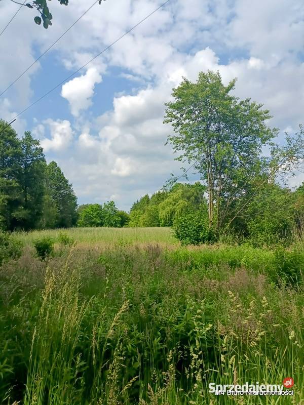 ŁADNA DZIAŁKA W ŚWIERZOWEJ POLSKIEJ 24 AR Grunty i działki Krosno
