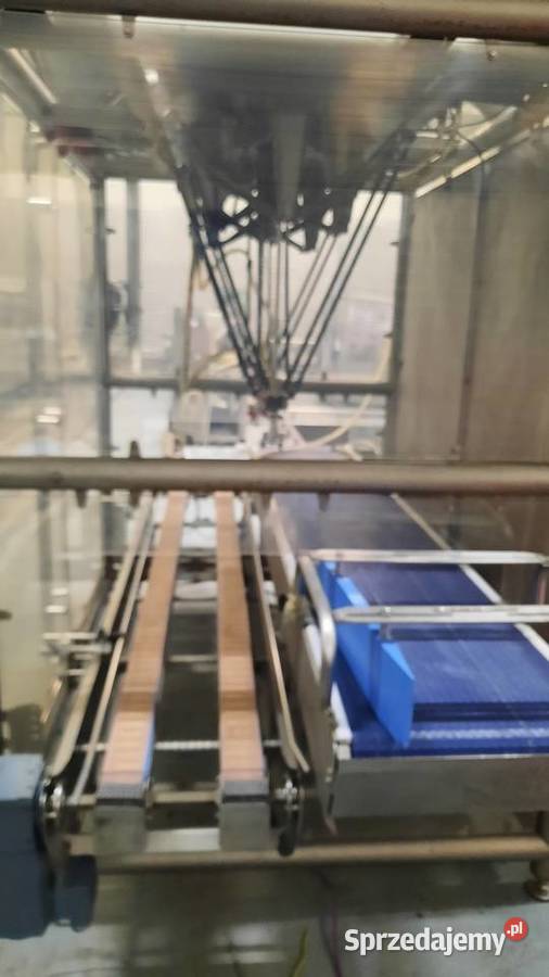 Robot Pick and Place 229 R L152 Dębica