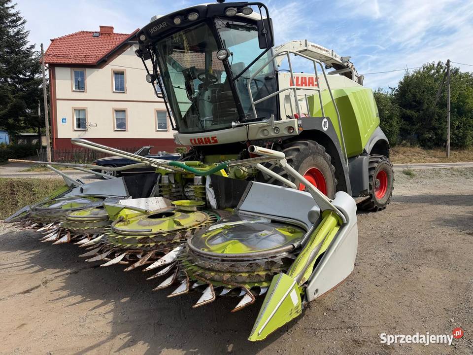 Sieczkarnia do kukurydzy Claas Jaguar 950 w nieuszkodzony Nowa Ruda