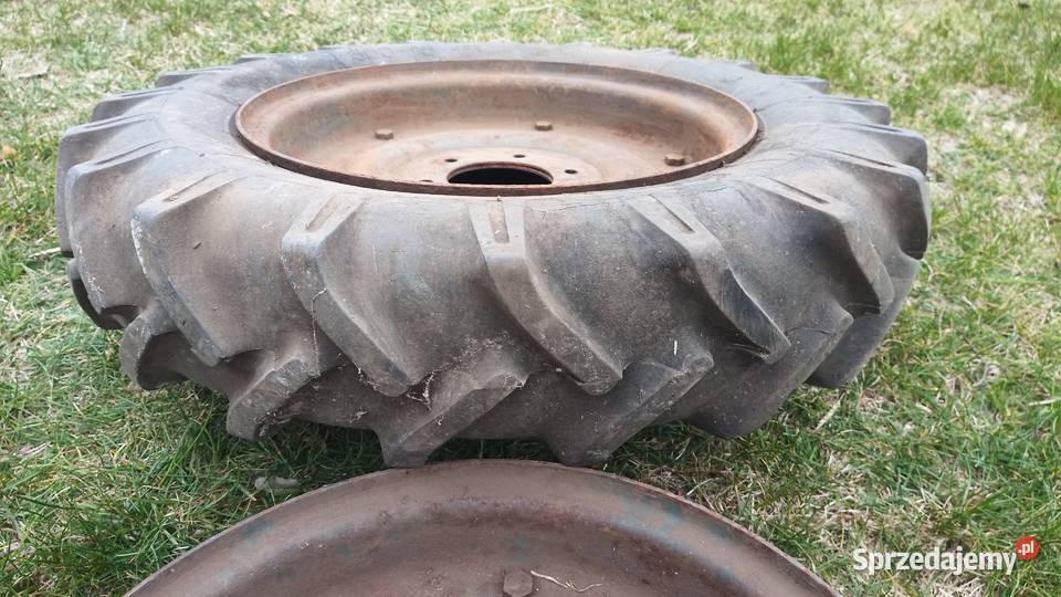Dzik 21 felgi 16 łódzkie