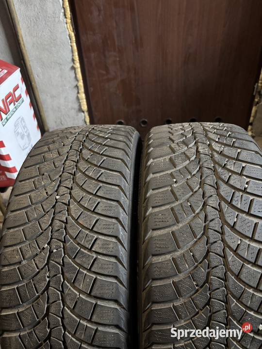 Opony zimowe 23545 19 Antonin
