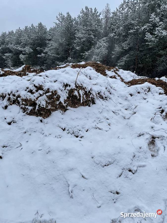 Sprzedam zrębkę do opału pod krzewy Białobrzegi