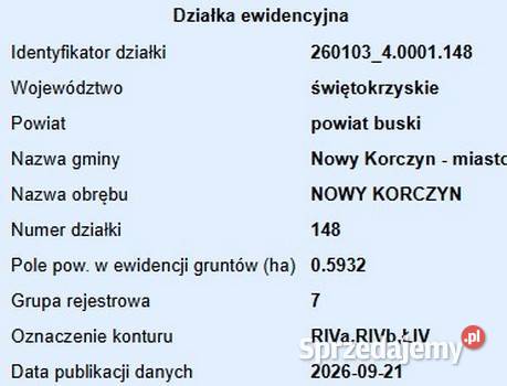 Łąka w Nowym Korczynie 5zł/m2 świętokrzyskie Nowy Korczyn sprzedam