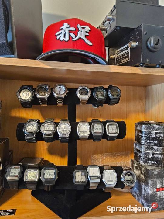 Zegarki CASIO kolekcja 100 Kolonowskie