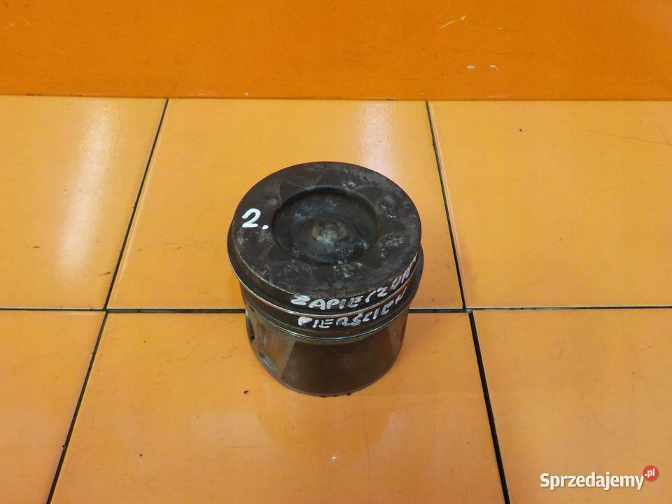 ANTARA CAPTIVA 20 VCDI 13r 163 Z20D1 tlok Z20D Suków