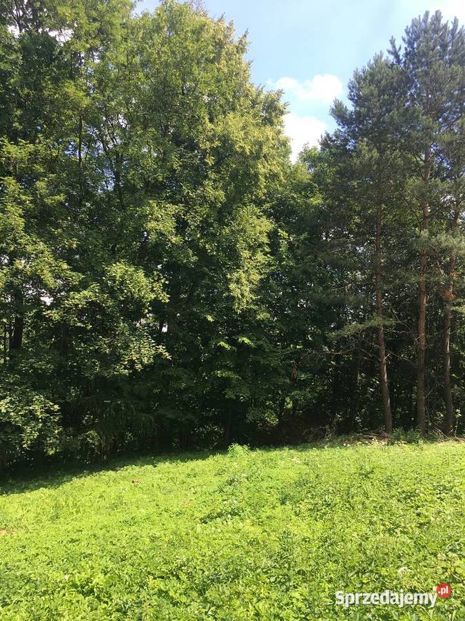 Działka budowlana z prywatnym lasem 18 arów 1860m2 małopolskie