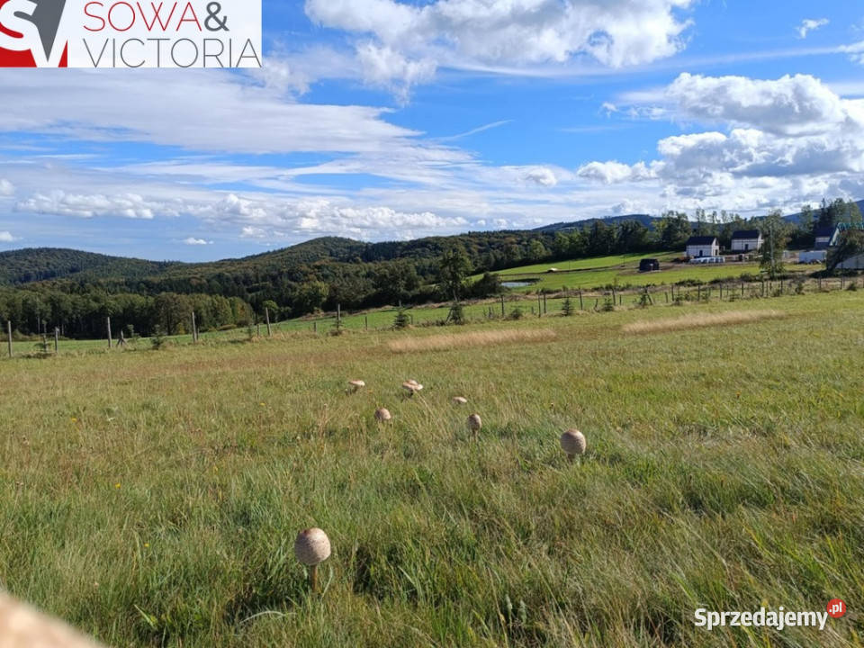 4 działki pod lasem w sąsiedztwie Boreczna szambo Michałkowa