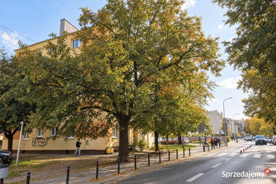 Niepowtarzalne mieszkanie w świetnej lokalizacji Poznań