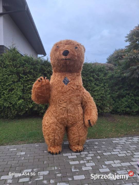 Kostium brązowego misia XXL 26m Galew
