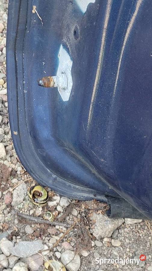 Drzwi Renault Laguna II Łagów