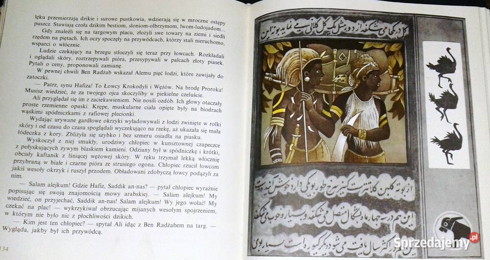 Długa podróż Alego ben Hafiza Maria Korewa Chełm