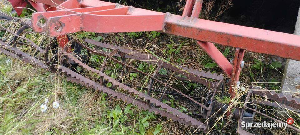 Talerzówka Strumyk 28m Łęki Szlacheckie