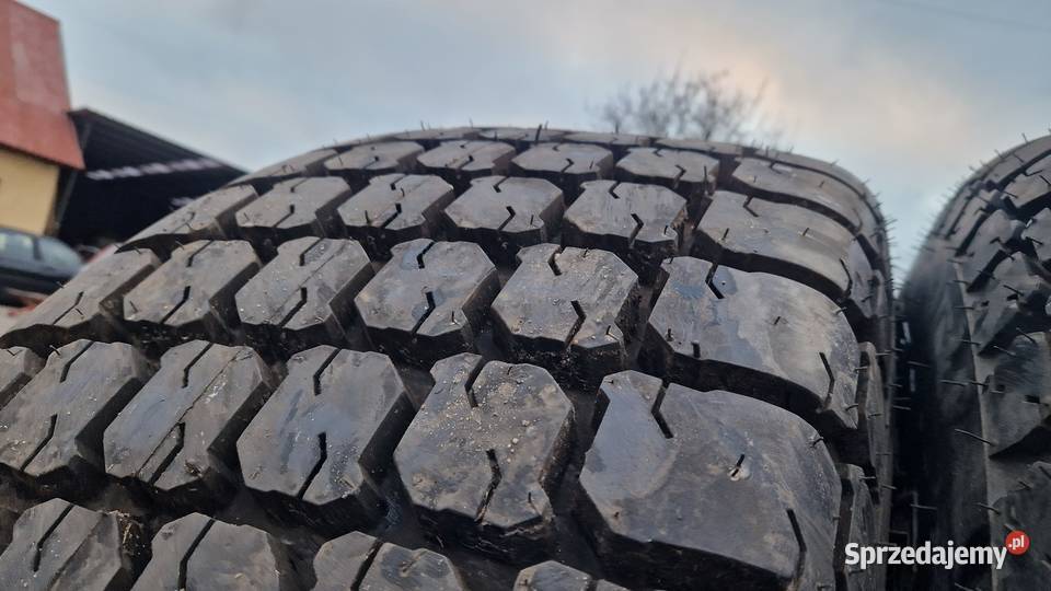 175L24 17524 175L24 Galaxy Michty Mow 100 bież warmińsko-mazurskie Nowe Miasto Lubawskie