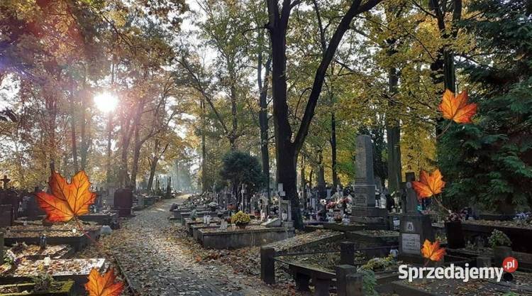 Odstąpię miejsce na Starym Cmentarzu w Grodzisku