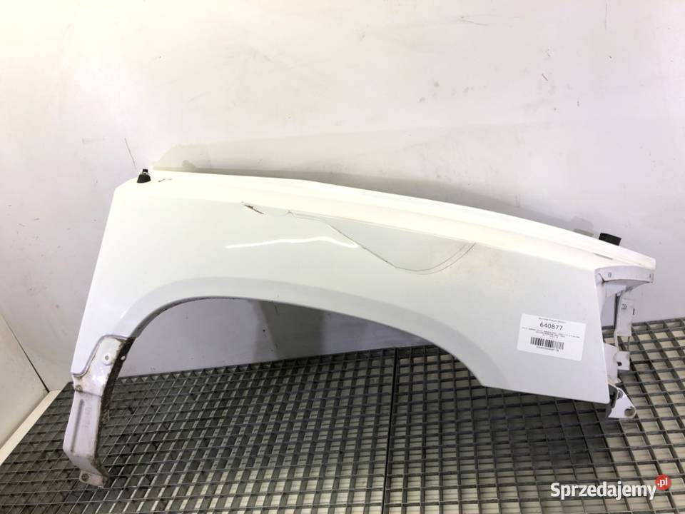 BŁOTNIK PRAWY PRZÓD DODGE DAKOTA III Pickup Błotniki Błotniki podkarpackie