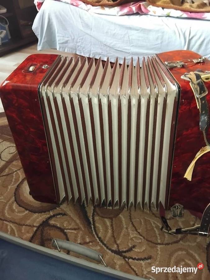Akordeon Chlina sprzedam