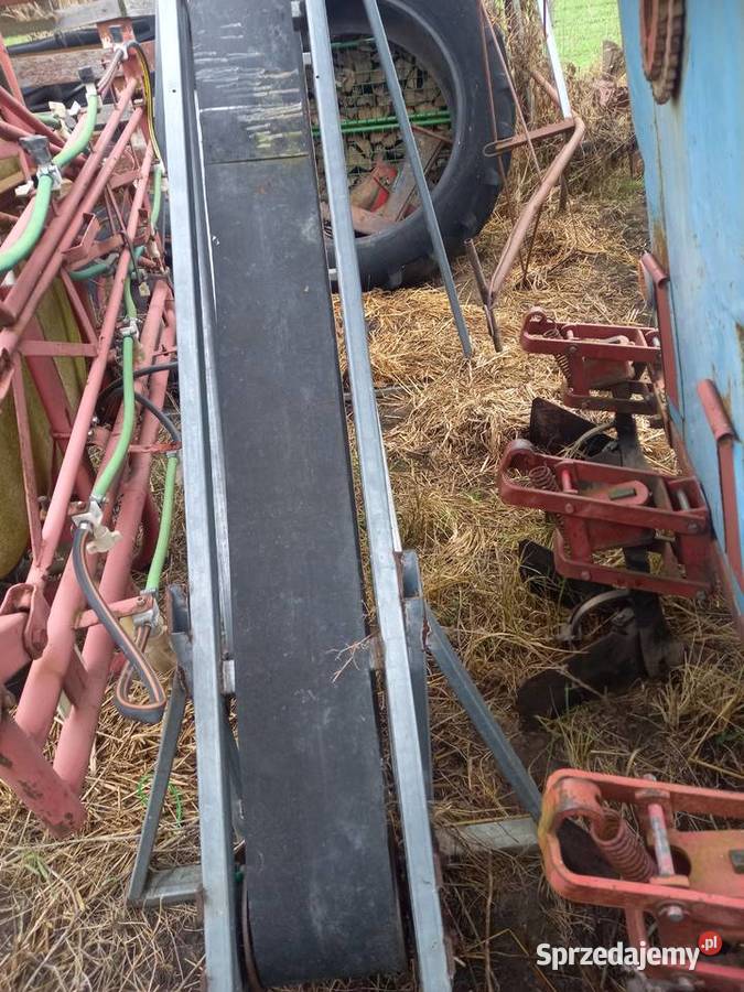 Nacinaki taśmociong kujawsko-pomorskie