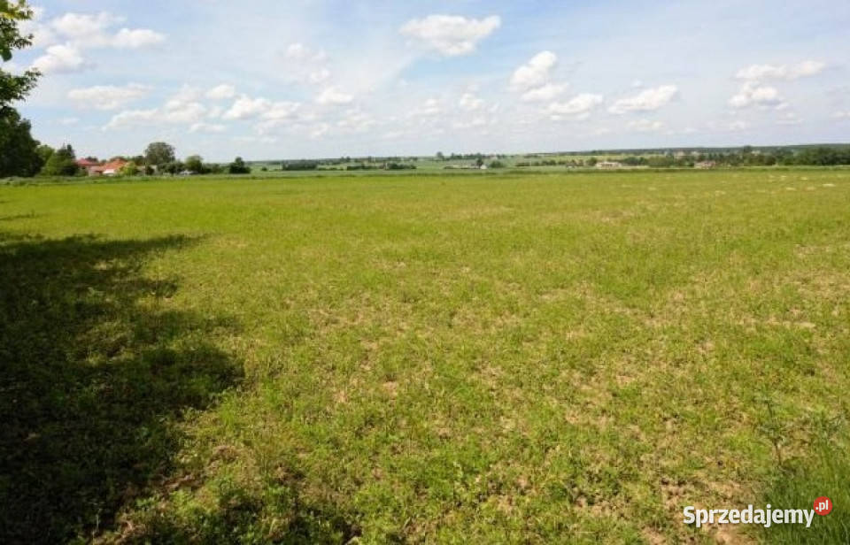 Działka 2001m2 Chmiel Pierwszy