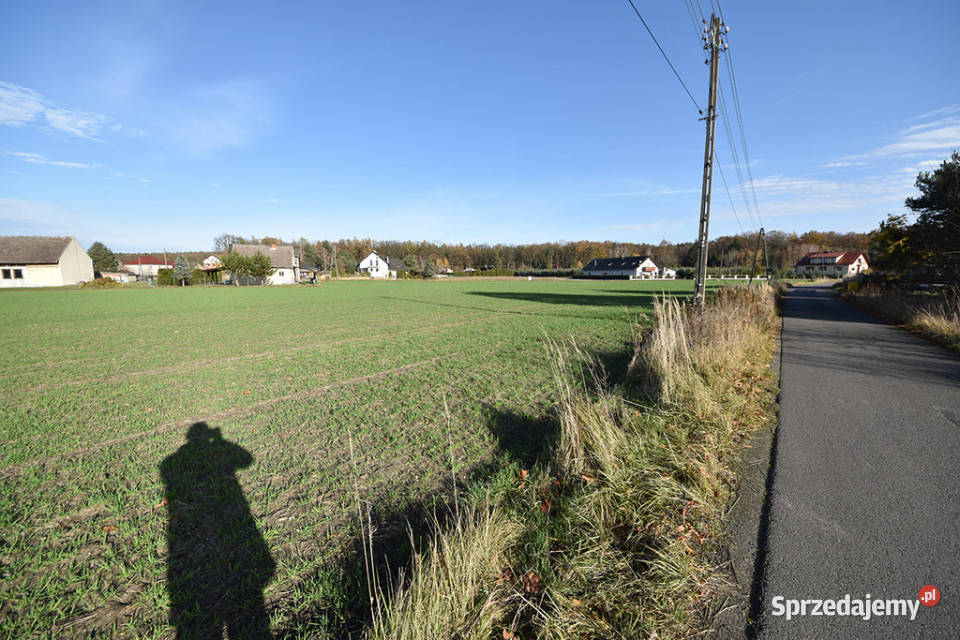 Duża działka budowlana 9051 m Turawa Marszałki