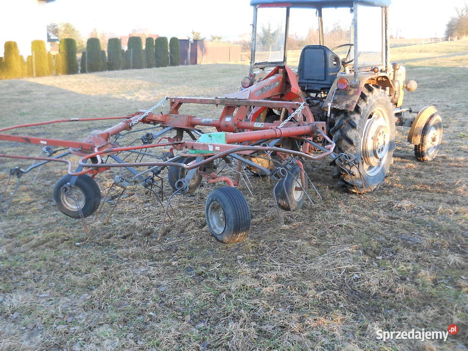 Pająk Przewrwcarka Przetrząsacz małopolskie Spytkowice