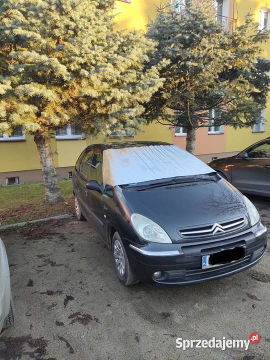Citroen Xsara Picasso 16 HDI Kia Rio 15 CRDI nieuszkodzony Brzeg Dolny